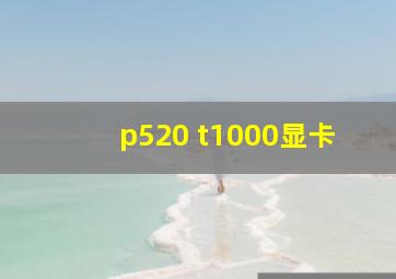 p520 t1000显卡